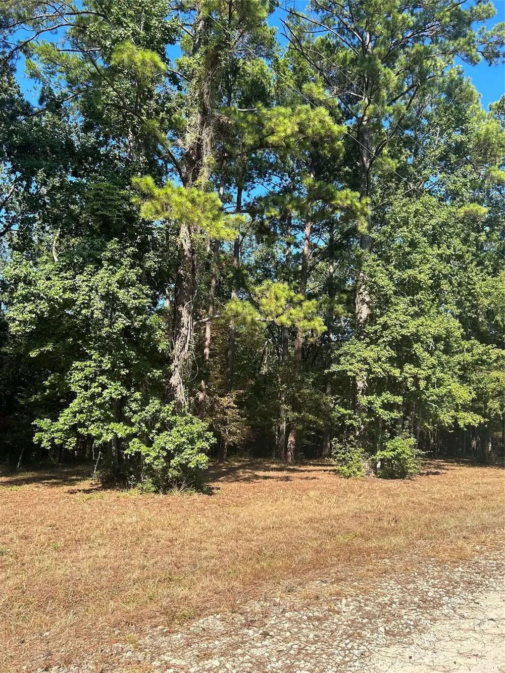 575859 Grand Pine Circle Livingston, TX 77351