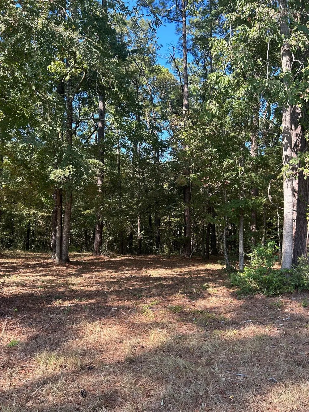 575859 Grand Pine Circle Livingston, TX 77351