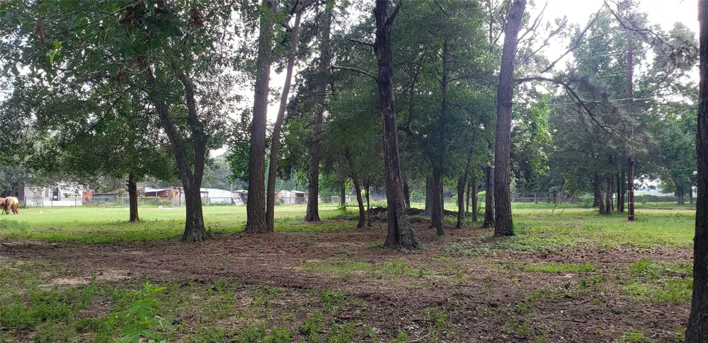 5620 Sapp Road Conroe, TX 77304