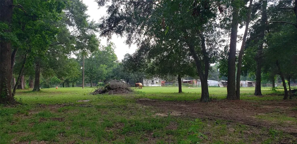 5620 Sapp Road Conroe, TX 77304