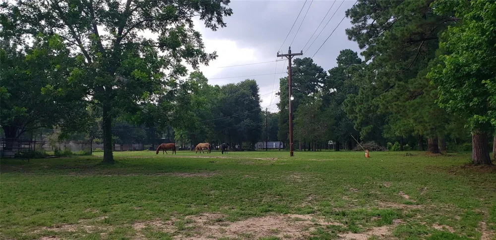 5620 Sapp Road Conroe, TX 77304