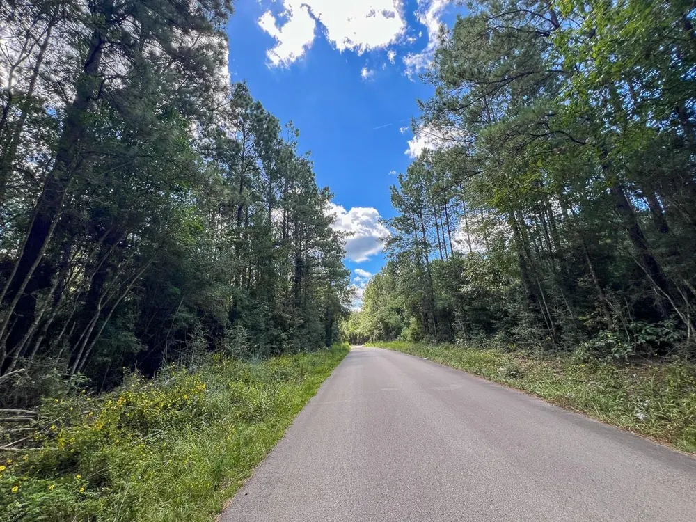 2 Cr 4470 Ivanhoe, TX 75979