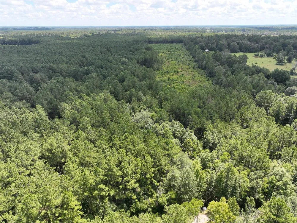 2 Cr 4470 Ivanhoe, TX 75979