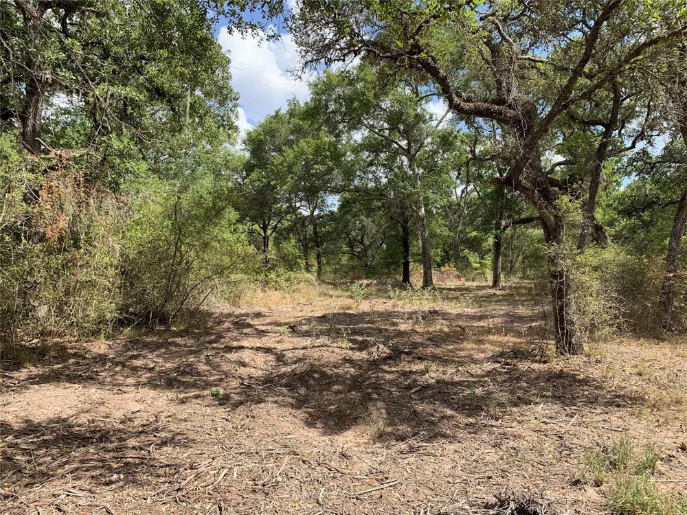 Private Road 1581 Hallettsville, TX 77964
