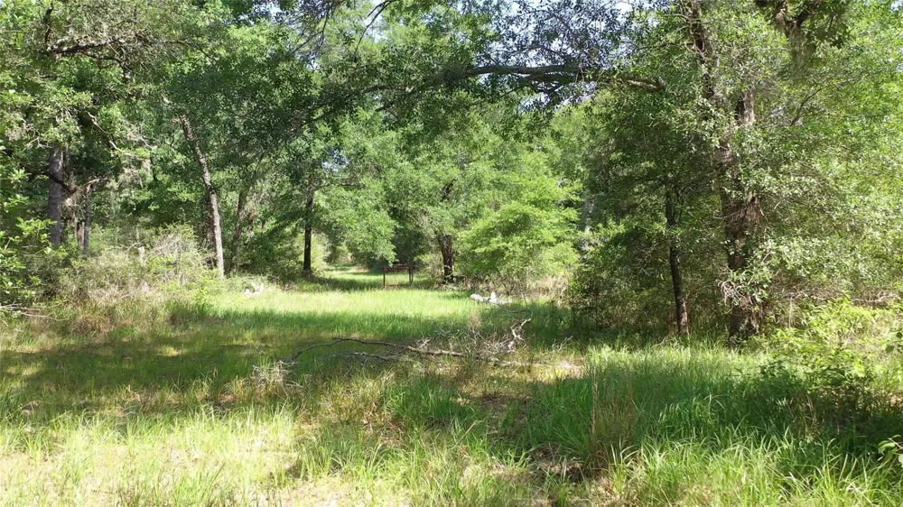 Private Road 1581 Hallettsville, TX 77964