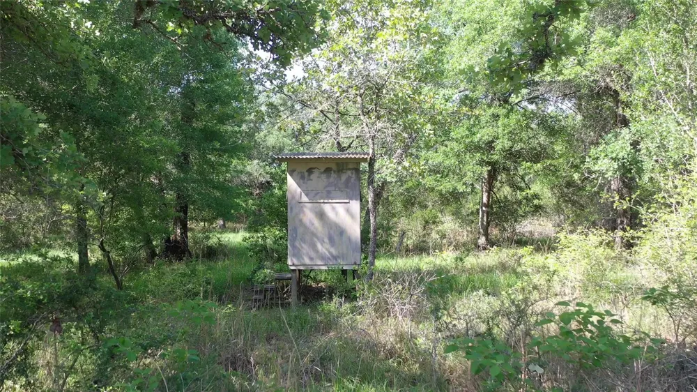 Private Road 1581 Hallettsville, TX 77964