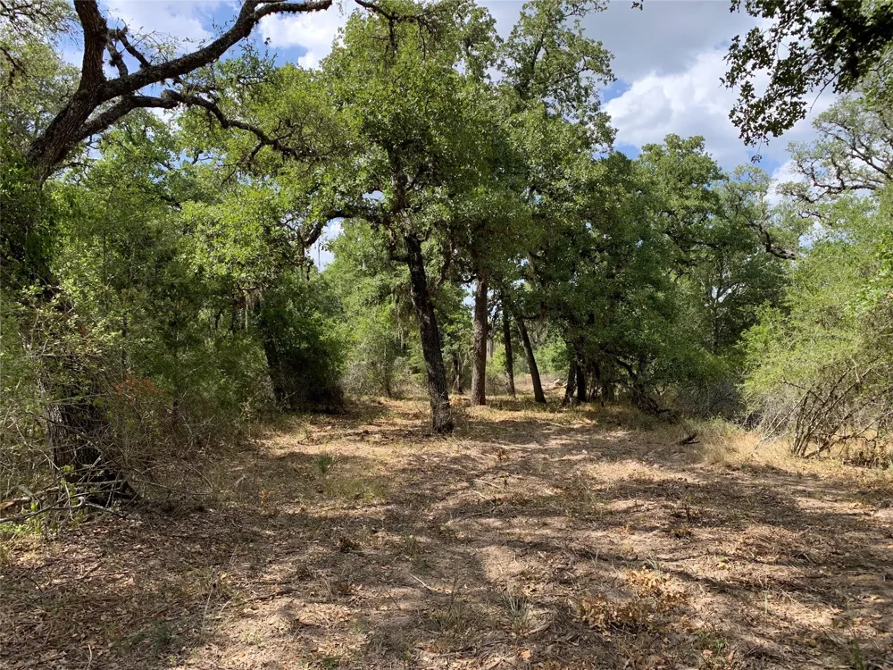 Private Road 1581 Hallettsville, TX 77964