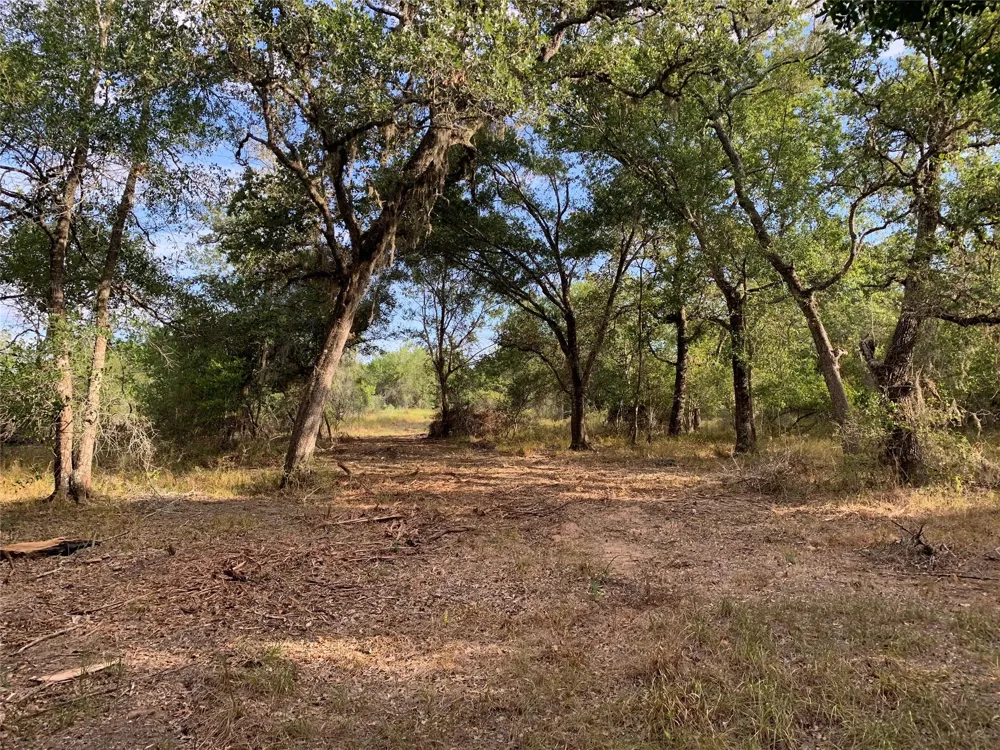Private Road 1581 Hallettsville, TX 77964