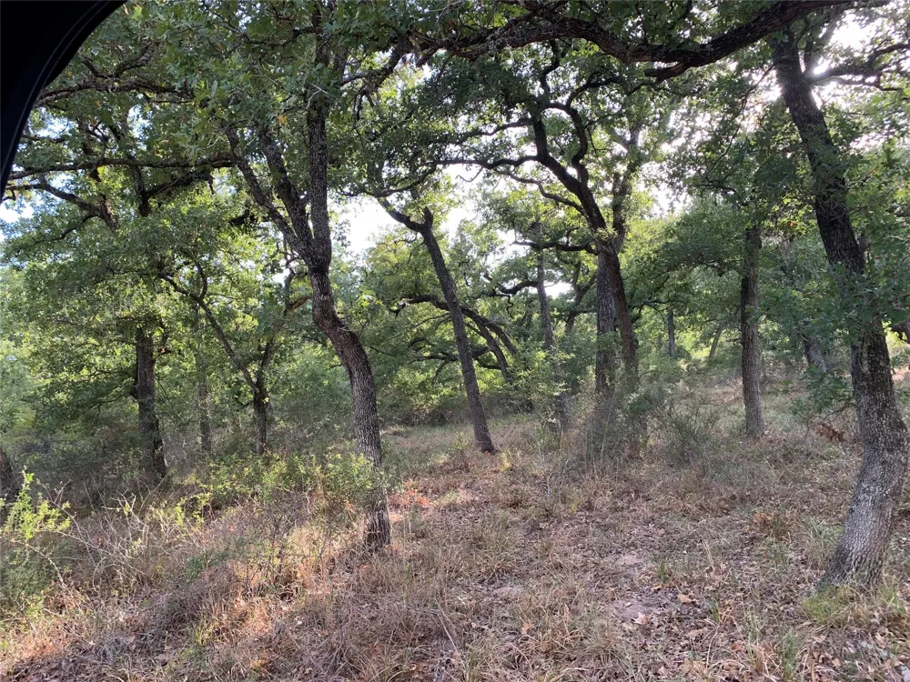 Private Road 1581 Hallettsville, TX 77964