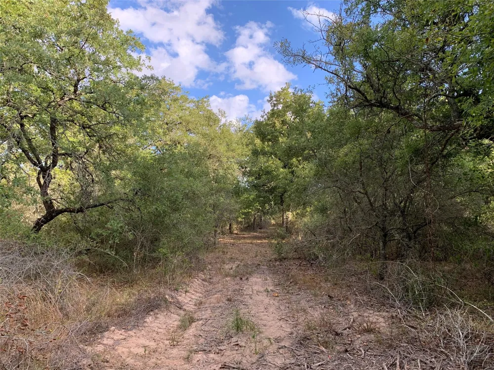 Private Road 1581 Hallettsville, TX 77964