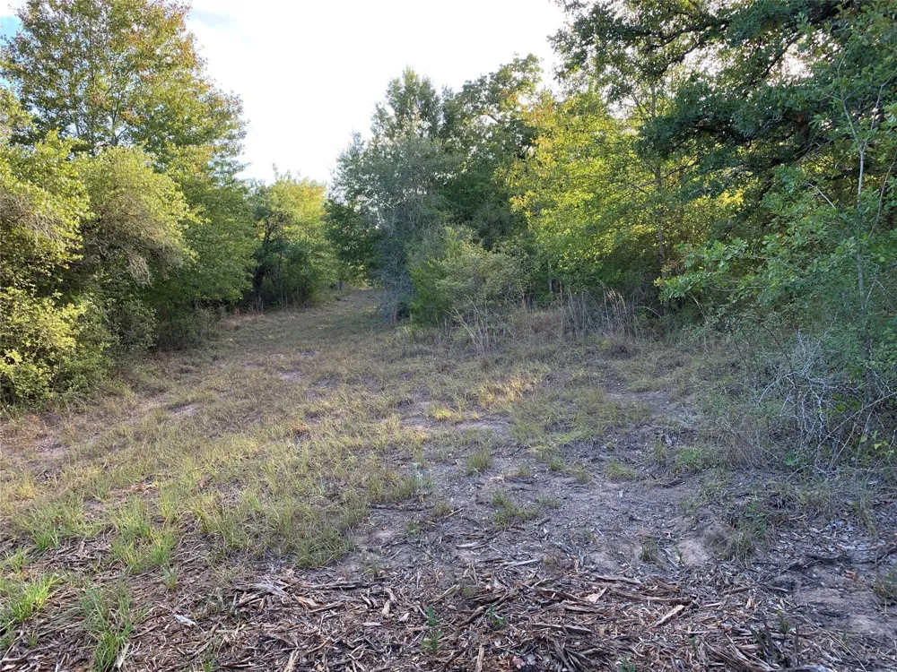 Private Road 1581 Hallettsville, TX 77964