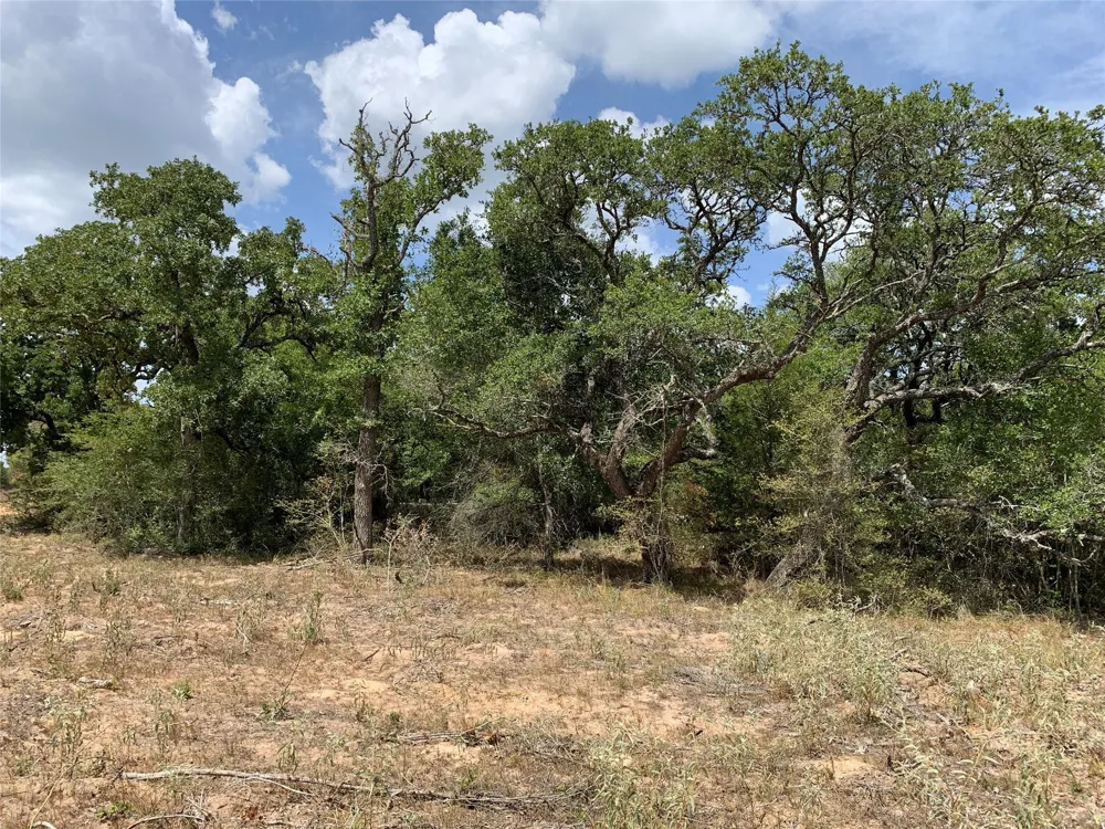Private Road 1581 Hallettsville, TX 77964