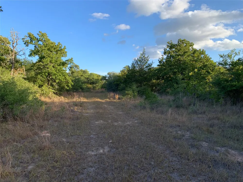 Private Road 1581 Hallettsville, TX 77964