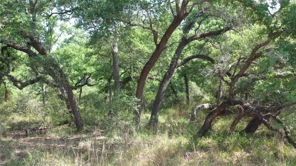 Private Road 1581 Hallettsville, TX 77964