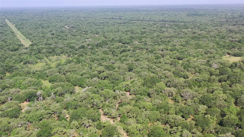 Private Road 1581 Hallettsville, TX 77964