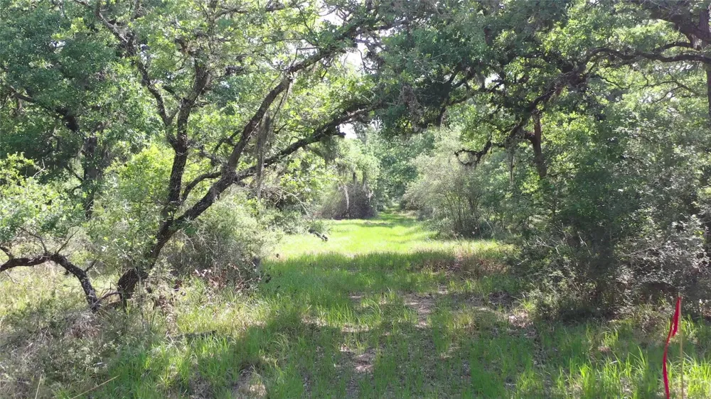 Private Road 1581 Hallettsville, TX 77964