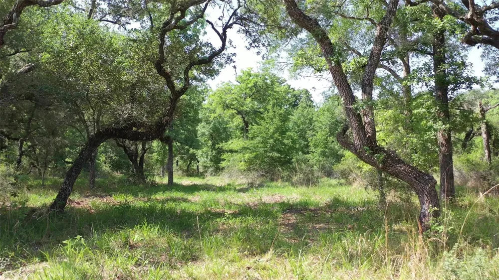 Private Road 1581 Hallettsville, TX 77964