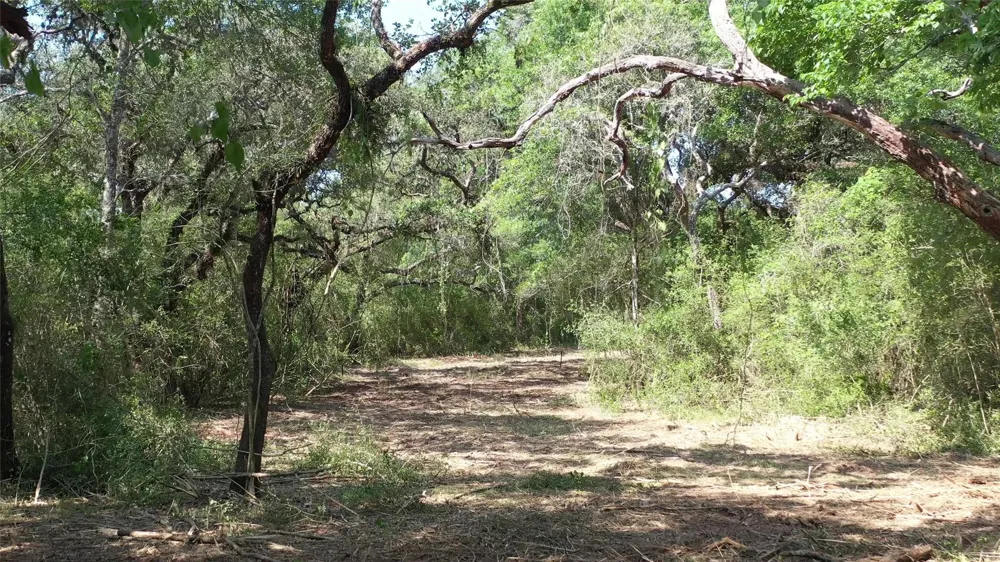 Private Road 1581 Hallettsville, TX 77964