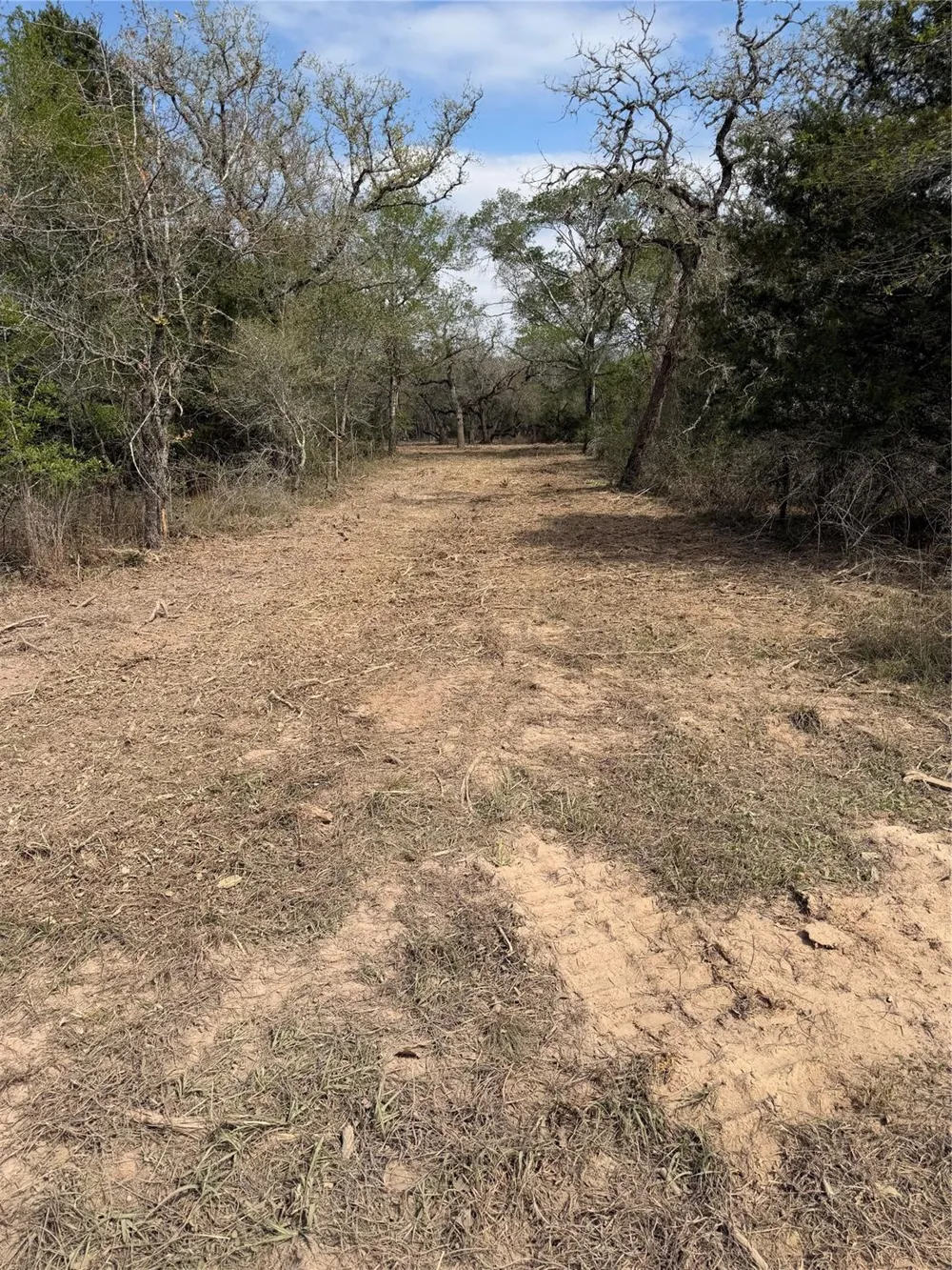 Private Road 1581 Hallettsville, TX 77964