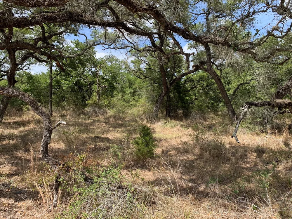 Private Road 1581 Hallettsville, TX 77964