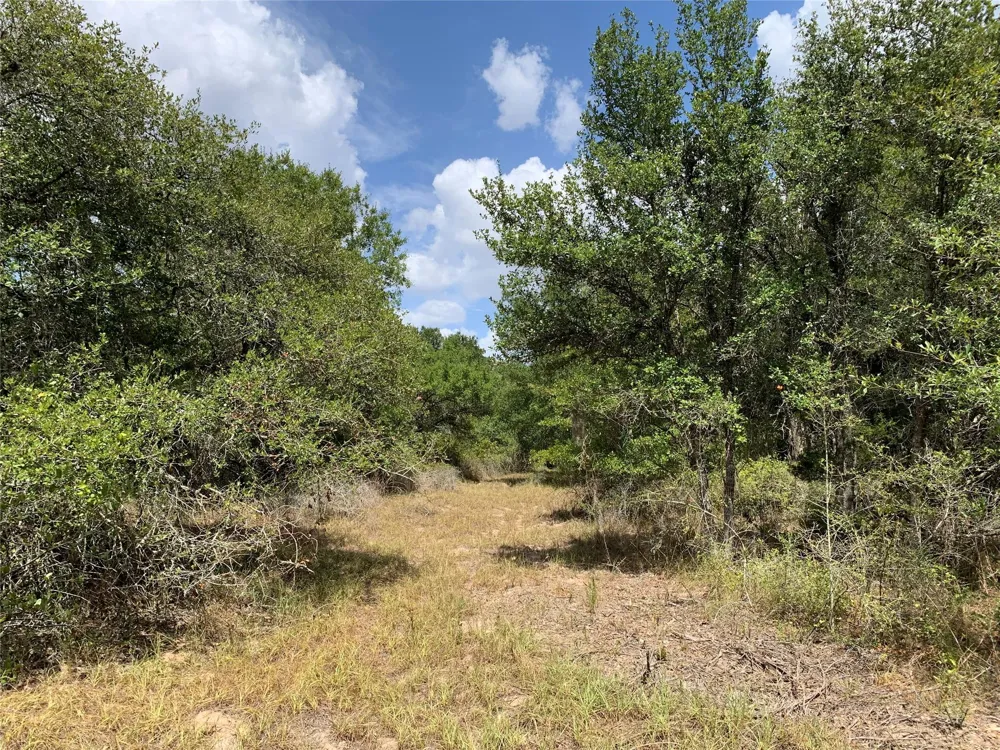 Private Road 1581 Hallettsville, TX 77964