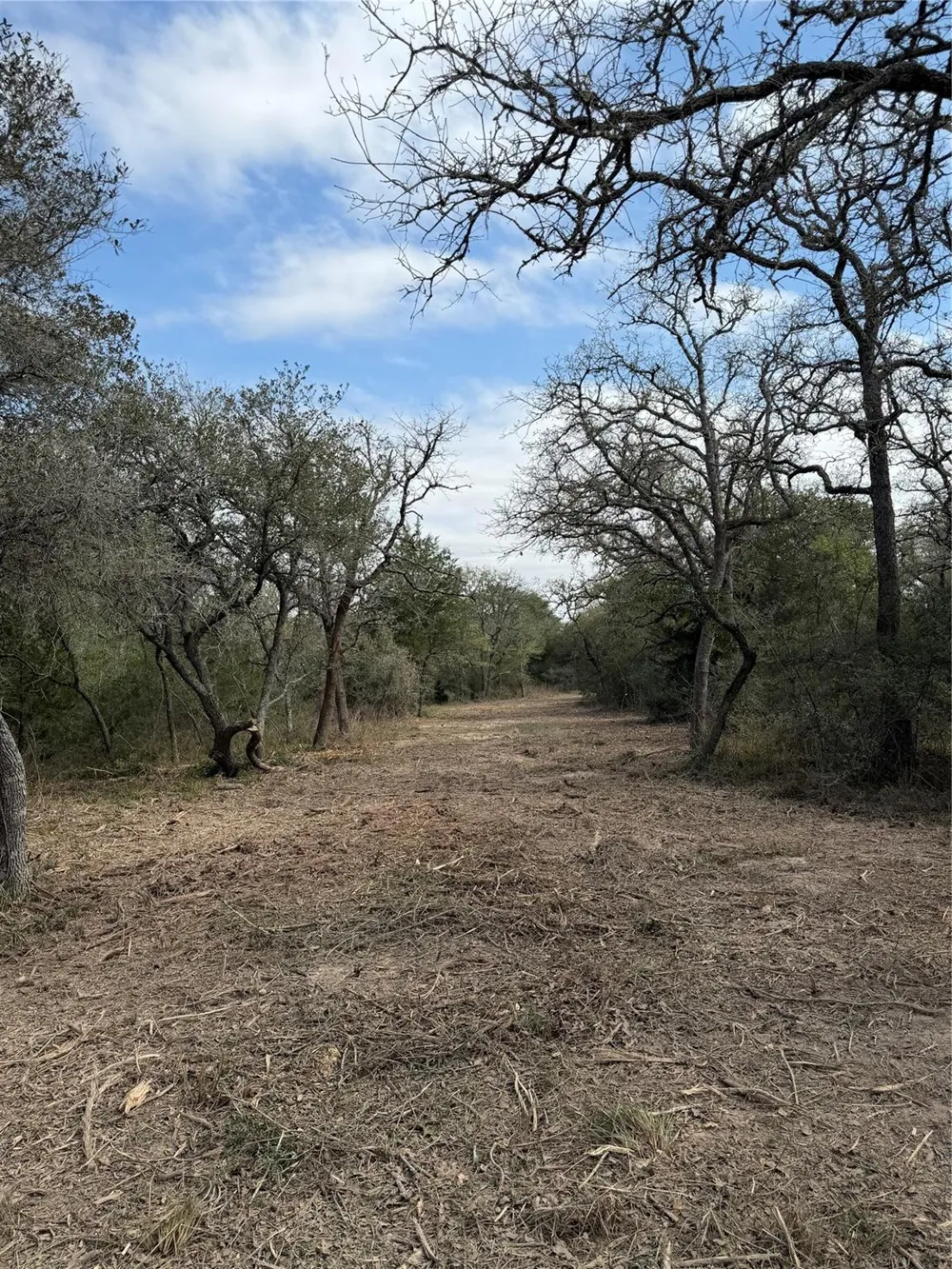 Private Road 1581 Hallettsville, TX 77964