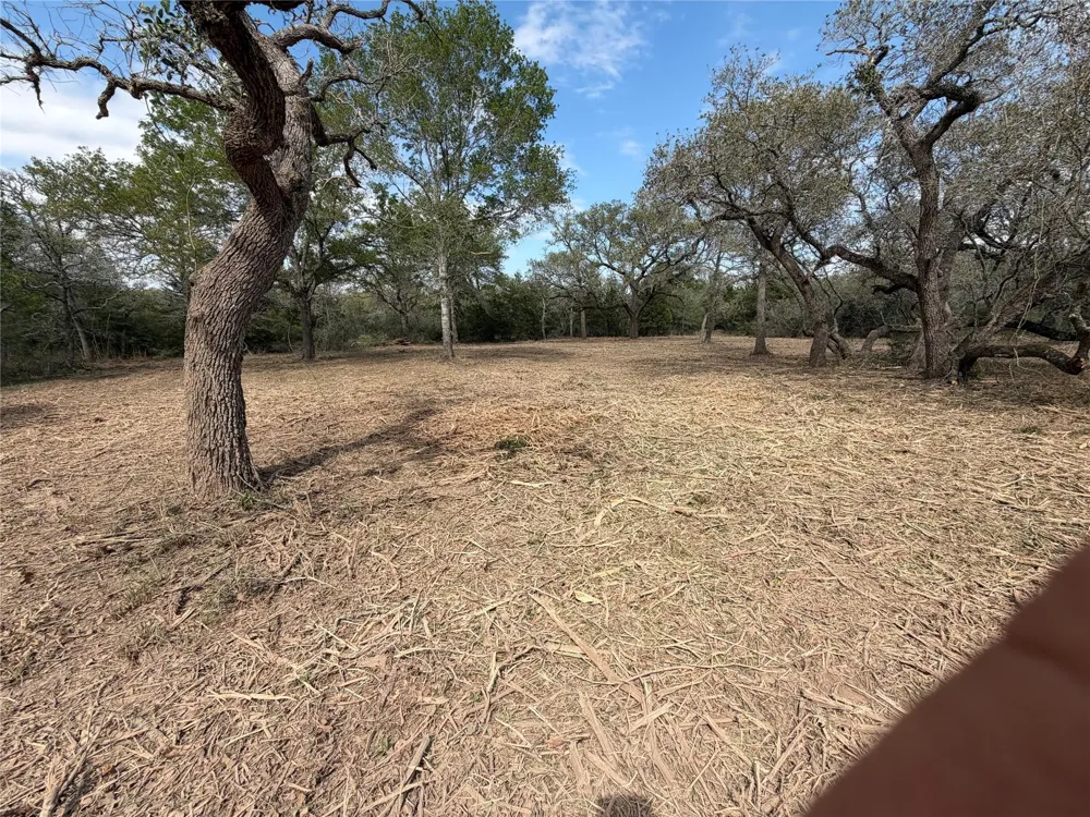 Private Road 1581 Hallettsville, TX 77964