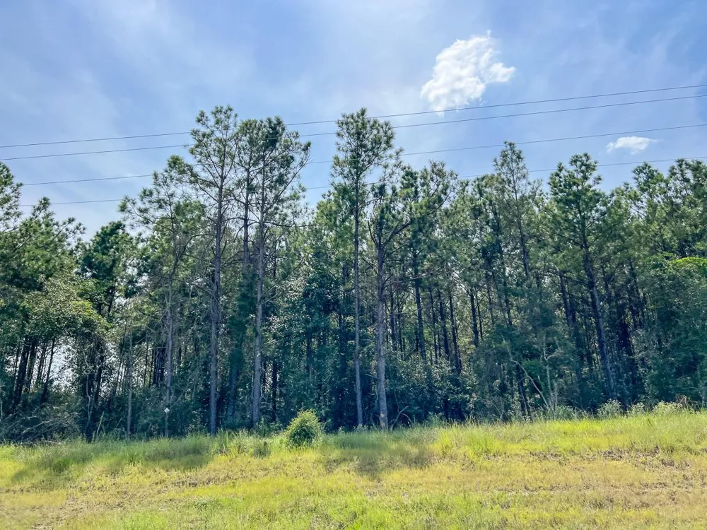 1 Highway 96 Kirbyville, TX 75951