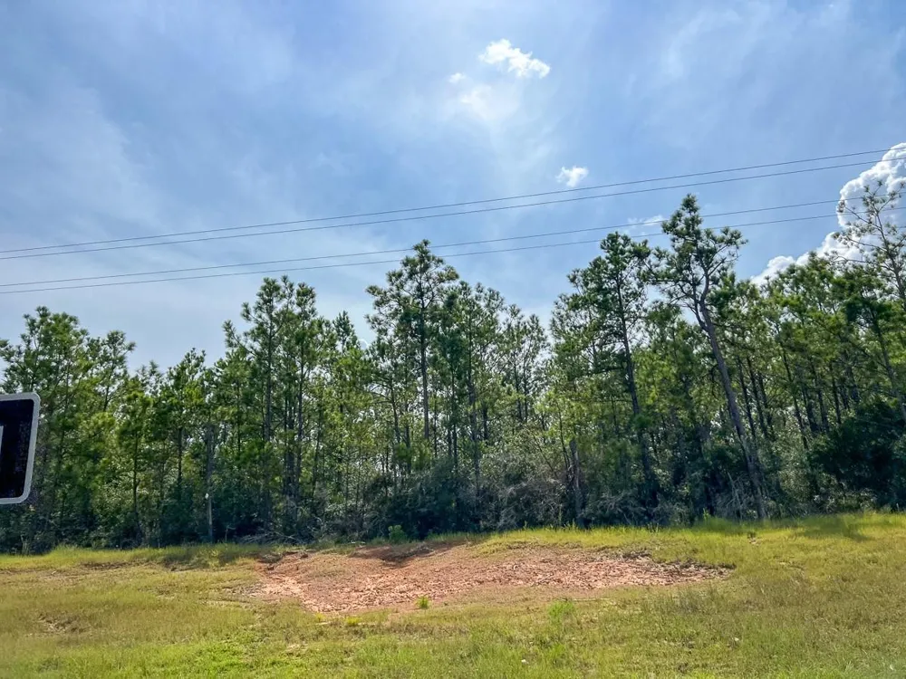 1 Highway 96 Kirbyville, TX 75951