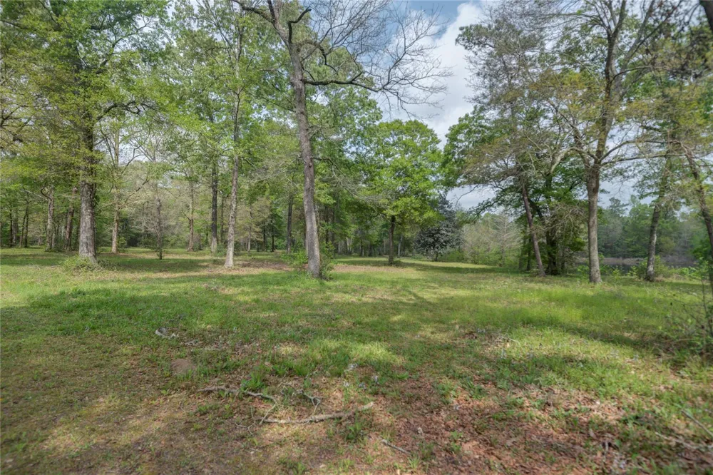 Firetower Road New Caney, TX 77357