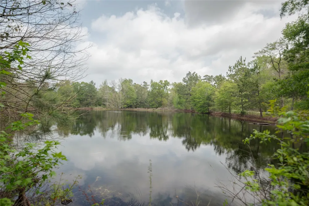 Firetower Road New Caney, TX 77357