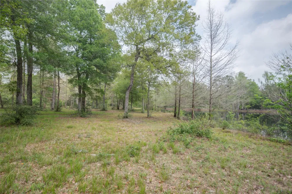 Firetower Road New Caney, TX 77357
