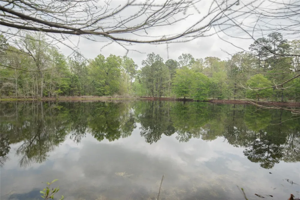 Firetower Road New Caney, TX 77357