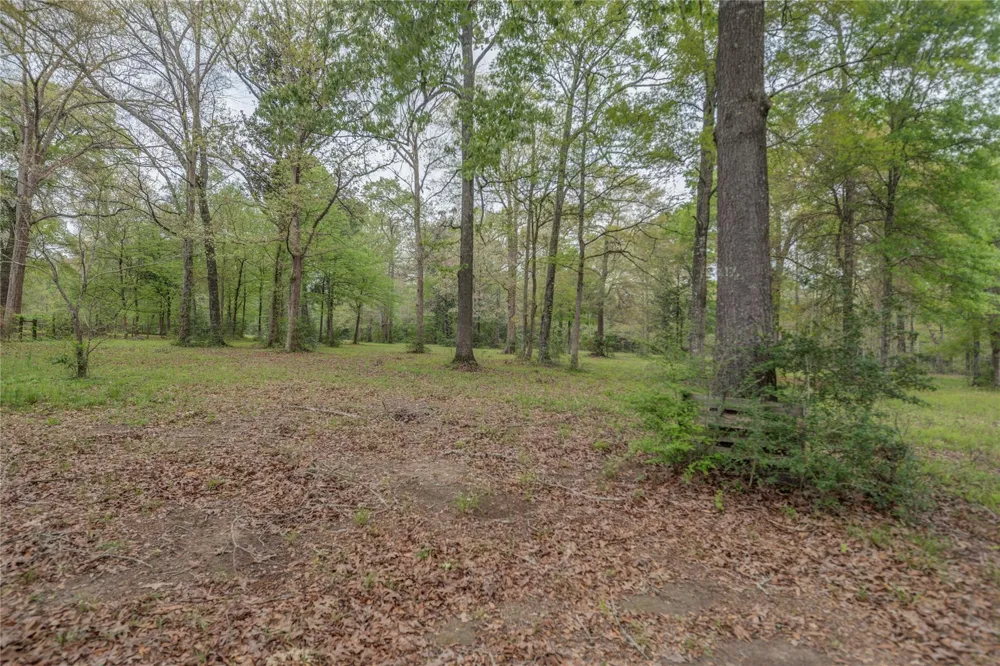 Firetower Road New Caney, TX 77357
