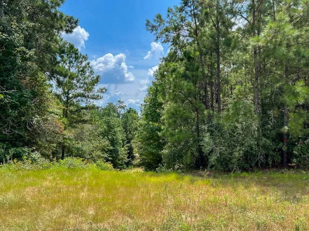 6 Rec Road 255 Browndell, TX 75931