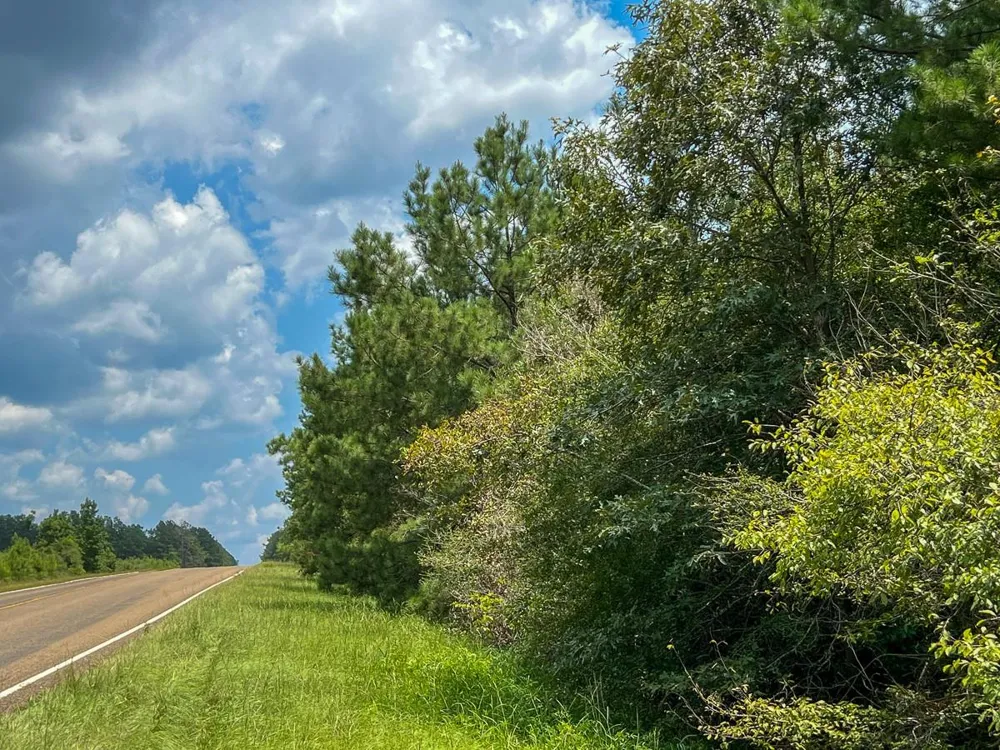 6 Rec Road 255 Browndell, TX 75931