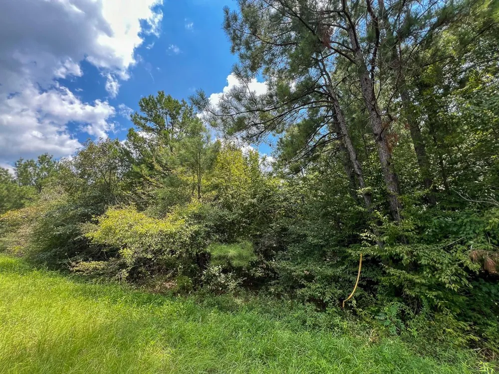 6 Rec Road 255 Browndell, TX 75931