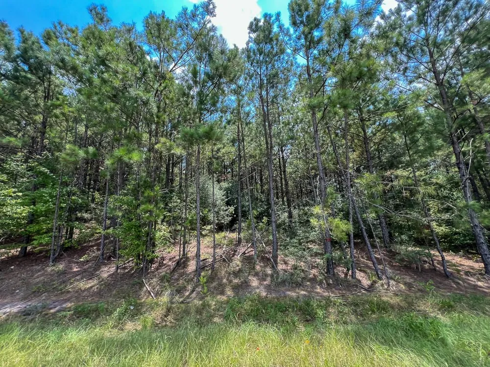 6 Rec Road 255 Browndell, TX 75931