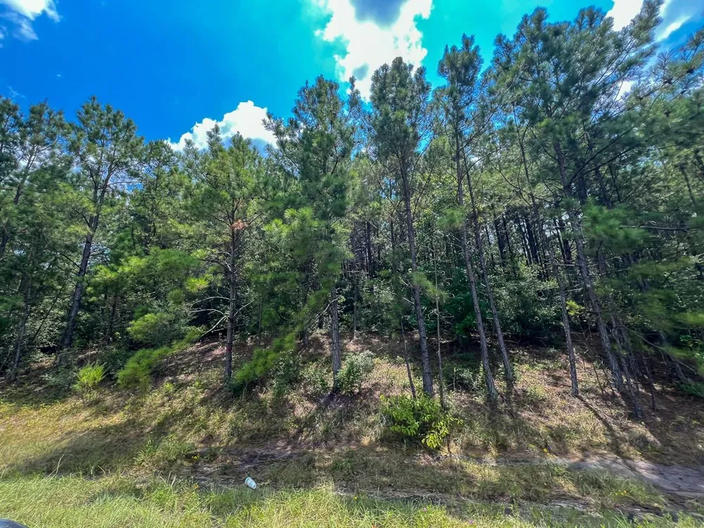 6 Rec Road 255 Browndell, TX 75931