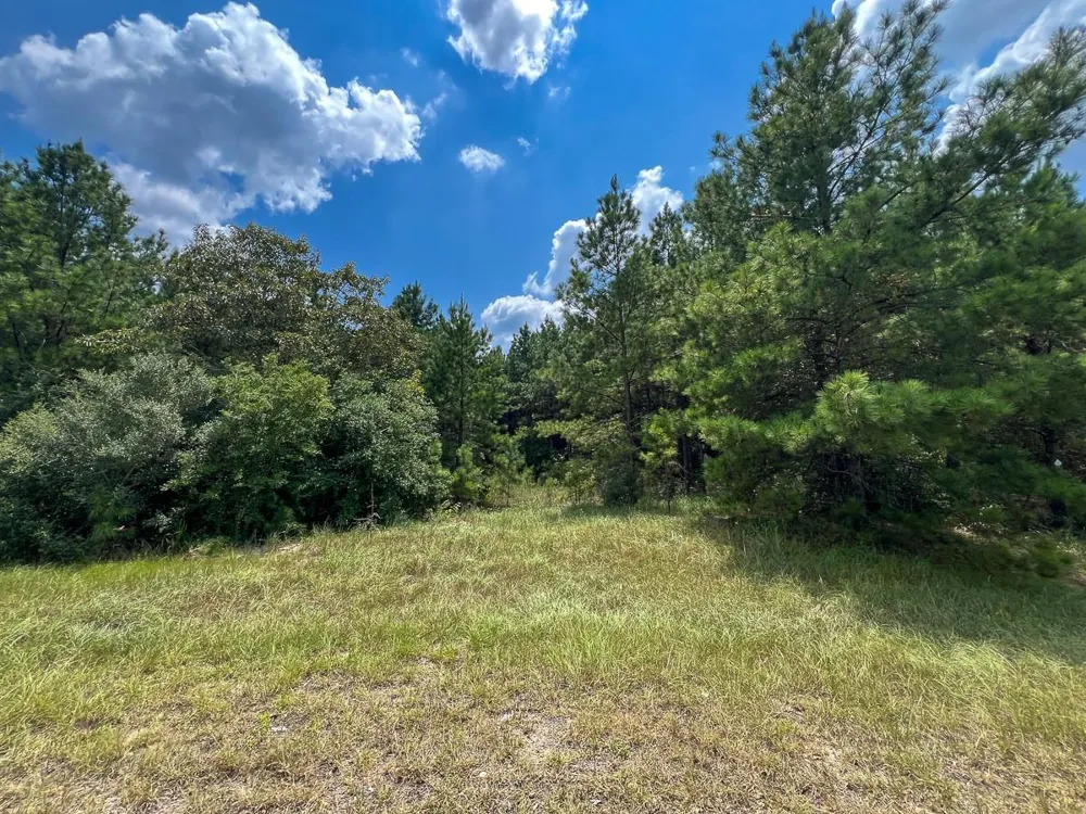 6 Rec Road 255 Browndell, TX 75931