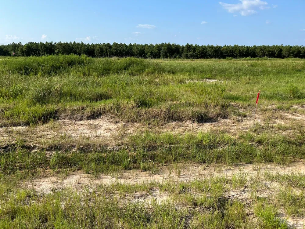1021 Road 5858 Cleveland, TX 77535