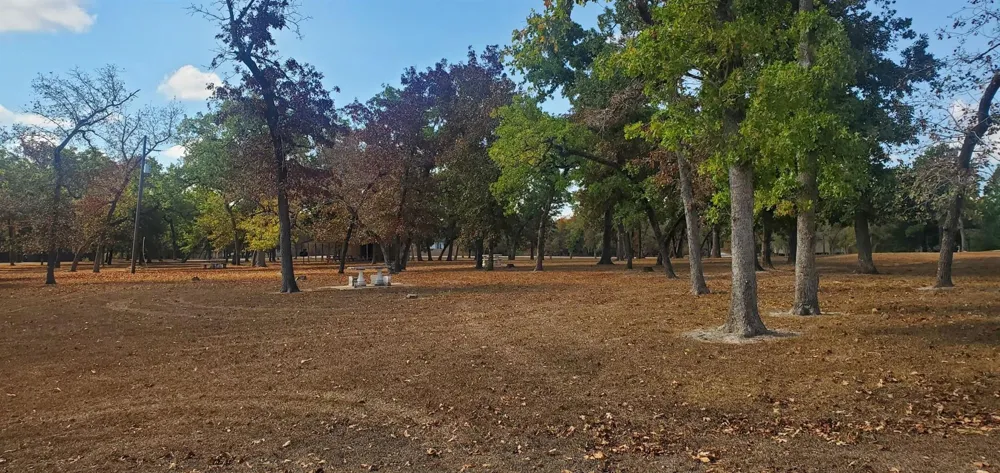 25 North Council Drive Hempstead, TX 77445
