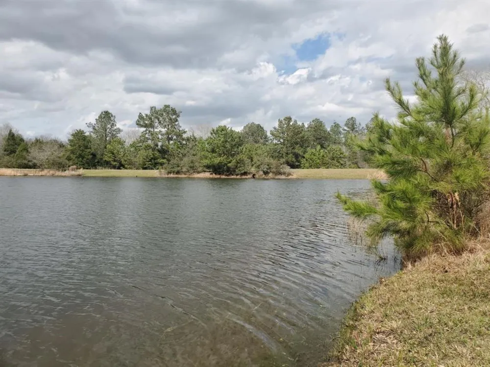 25 North Council Drive Hempstead, TX 77445