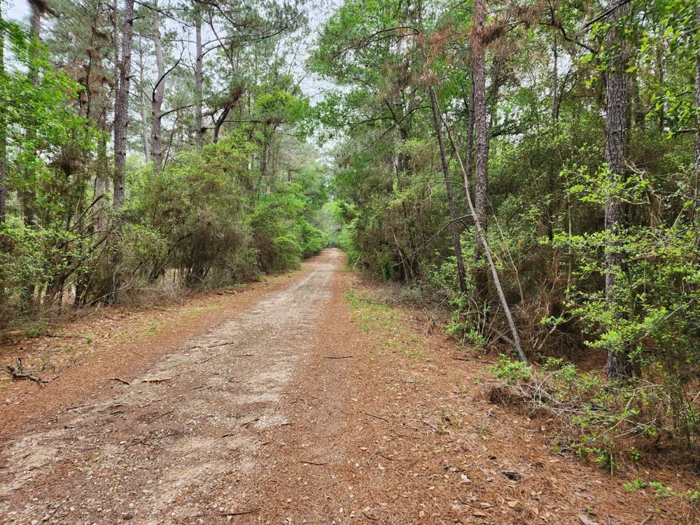 25 North Council Drive Hempstead, TX 77445