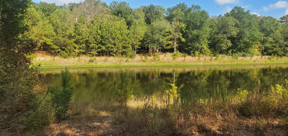 25 North Council Drive Hempstead, TX 77445