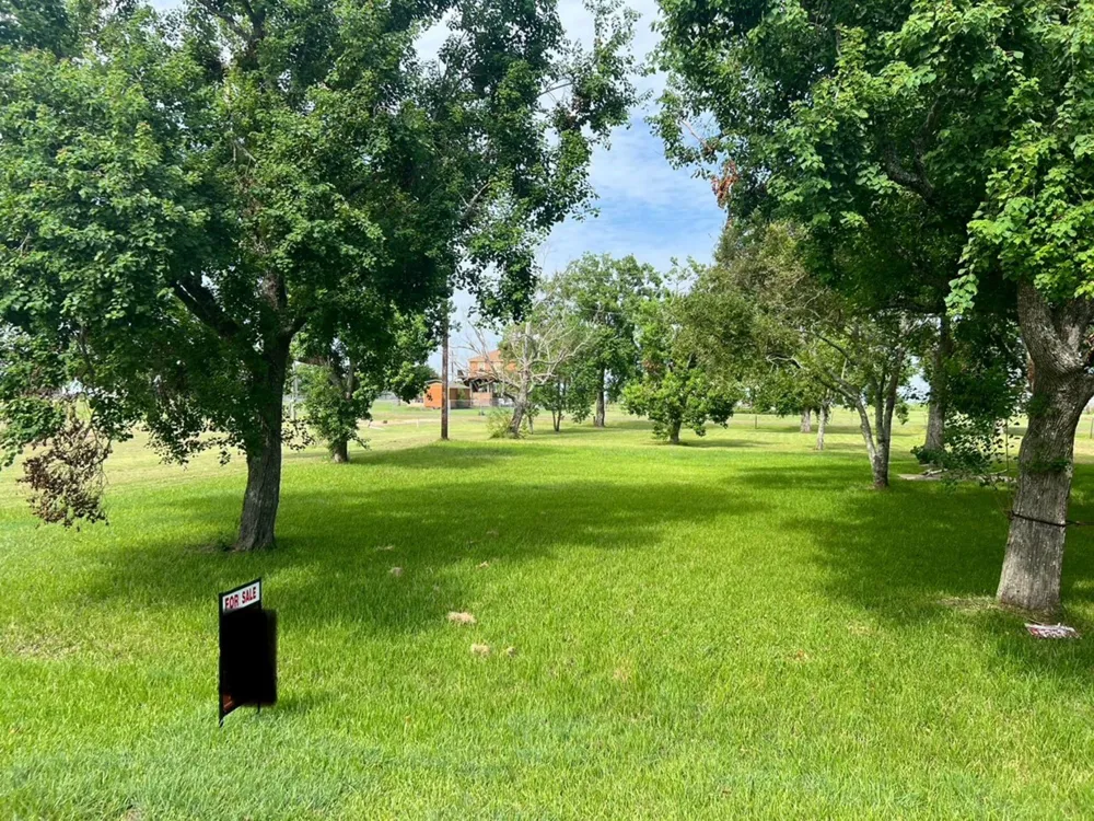 314 Jackson Dr Anahuac, TX 77514