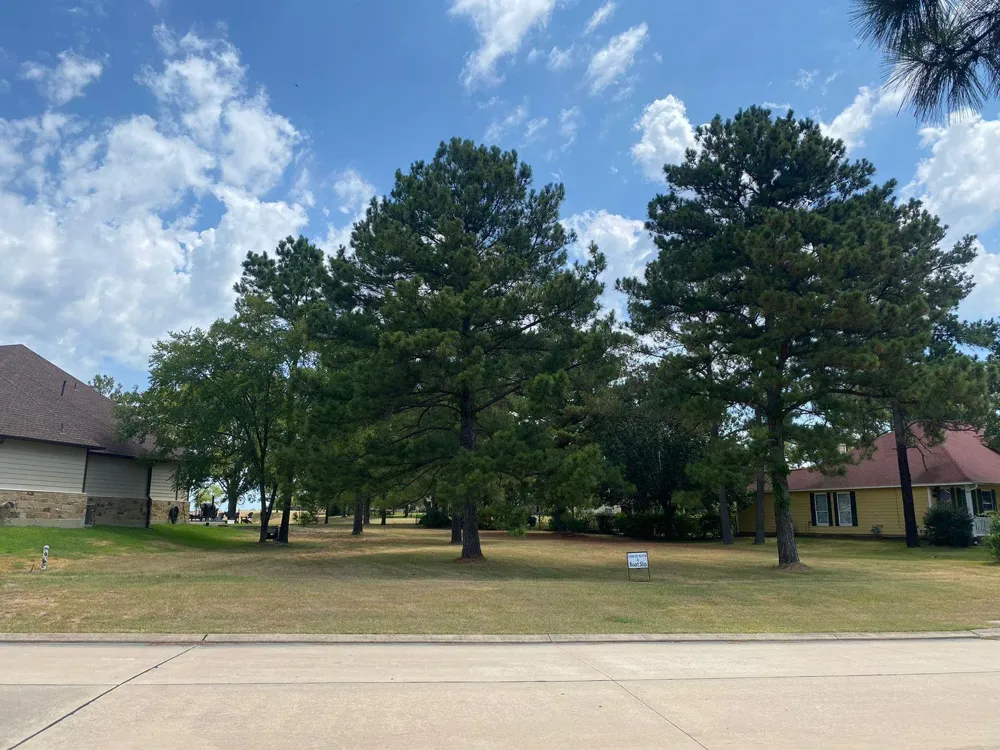 10856 Bourbon Street Willis, TX 77318