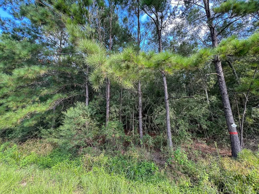 2 Fm 2802 Vidor, TX 77662