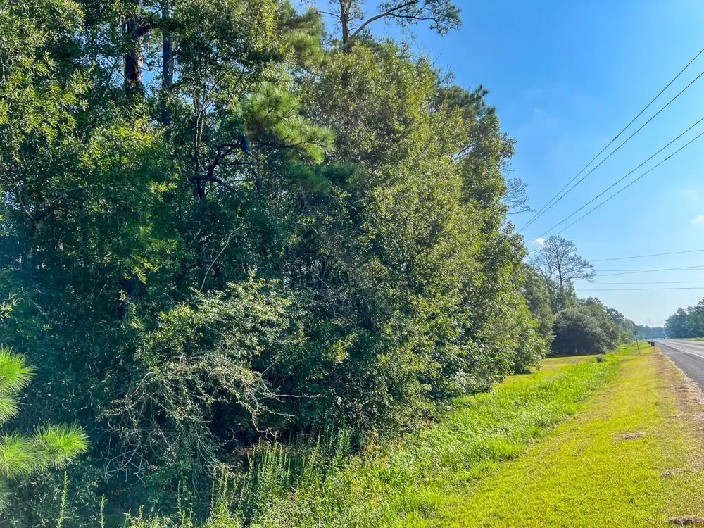 2 Fm 2802 Vidor, TX 77662