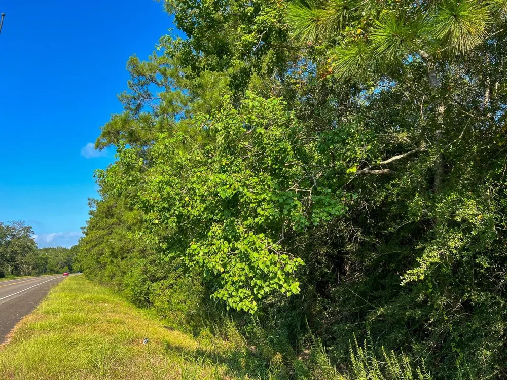 2 Fm 2802 Vidor, TX 77662